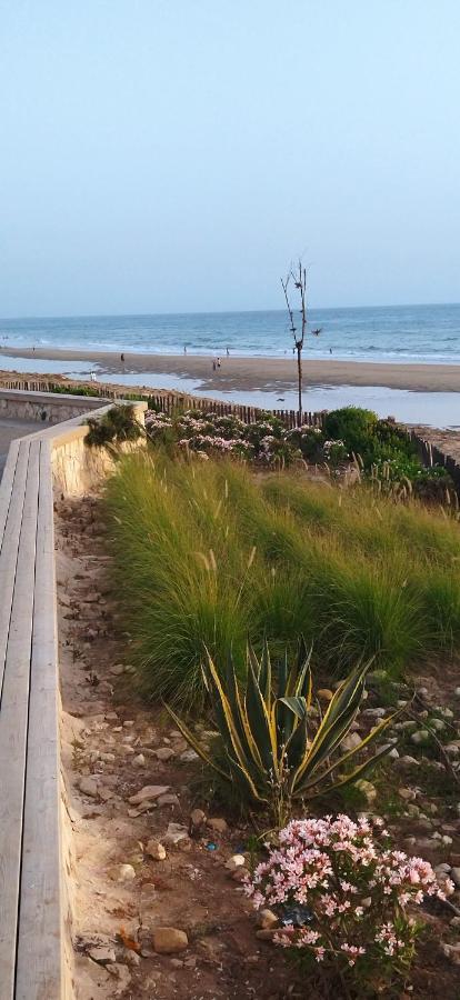 Appart Oubaha Tamrakht Taghazout אגאדיר חדר תמונה